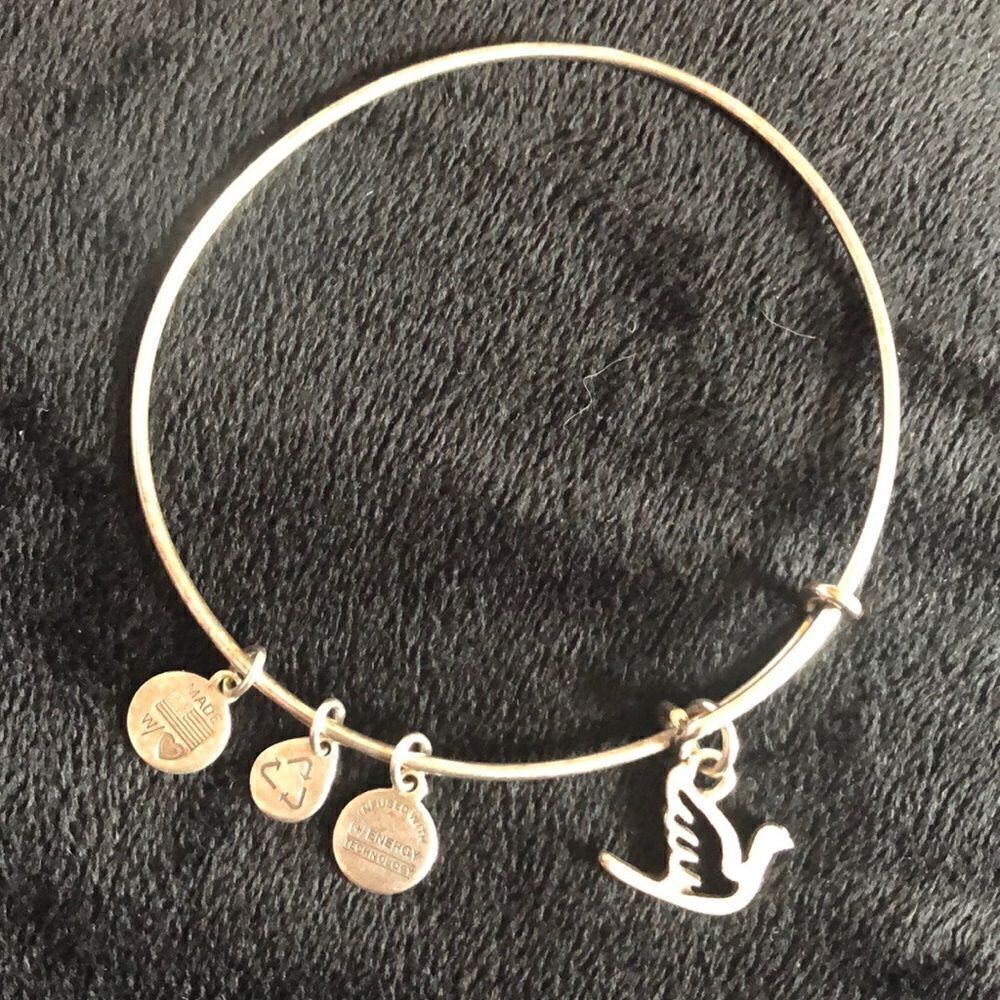 Alex & Ani  bracelet
